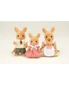 FAMILLE KANGOUROU  La famille Kangourou est composée de 4 personnag...