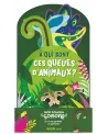 MON COUCOU SONORE : A QUI SONT CES QUEUE  Un coucou caché sonore ri...
