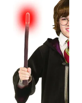 BAGUETTE LUMINEUSE HARRY POTTER   RUBH-9706 RUBIE'S Âge Minimum: 6A...