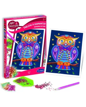 TABLEAU A DIAMANTER HIBOU  Réalise de jolies créations à base de mi...