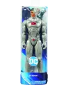 DC COMICS FIG. 30CM  30 cm. Au choix. SPN6056278 SPINMASTER Âge Min...