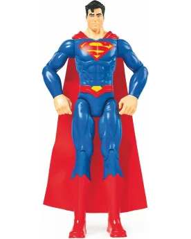 DC COMICS FIG. 30CM  30 cm. Au choix. SPN6056278 SPINMASTER Âge Min...