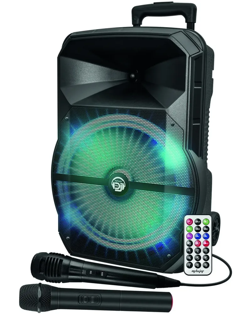 TROLLEY ENCEINTE BOOMER 31CM 2 MICROS TE Enceinte trolley avec lumi...