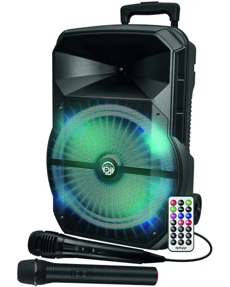 TROLLEY ENCEINTE BOOMER 31CM 2 MICROS TE Enceinte trolley avec lumi...