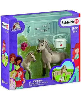 KIT DE SECOURS D'HORSE CLUB HANNAH   SCL42430 SCHLEICH Âge Minimum:...