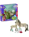 KIT DE SECOURS D'HORSE CLUB HANNAH   SCL42430 SCHLEICH Âge Minimum:...