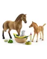 SOINS POUR BEBE ANIMAUX   SCL42432 SCHLEICH Âge Minimum: 5A -Âge Ma...