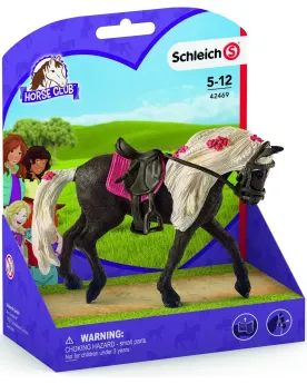 JUMENT ROCKY MOUNTAIN SPECTACLE EQUESTRE   SCL42469 SCHLEICH Âge Mi...