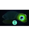 TORTUE PELUCHE YEUX S'ALLUMENT  Peluche de 38 cm. Si tu lui fais un...