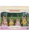 FAMILLE CHAT TIGRE  La famille Chat tigré est composée de 4 personn...
