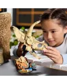LES FOSSILES : LE CRANE DU TRICERATOPS   LEG76969 LEGO Âge Minimum:...